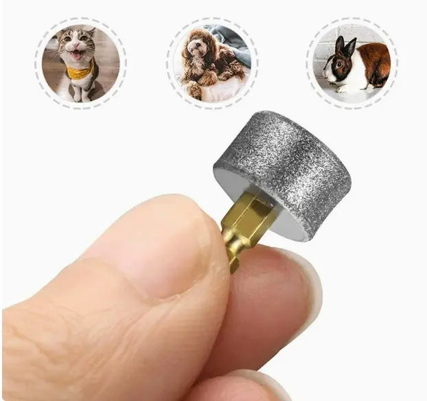 Replacement Grinding Head
