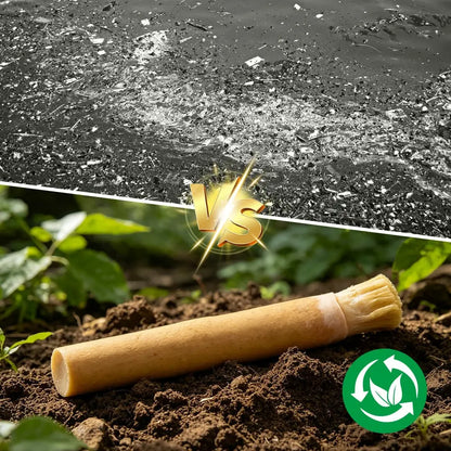 Natural Miswak Toothbrush Sticks
