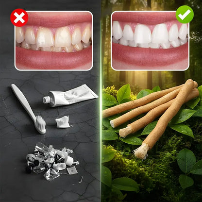 Natural Miswak Toothbrush Sticks